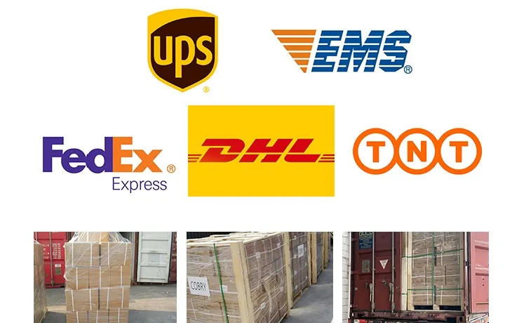 Cargador comercial para vehículos eléctricos para todos los usuarios con aplicación/tarjeta RFID y Ocpp opcional